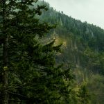 Imagen destacada de Hello World