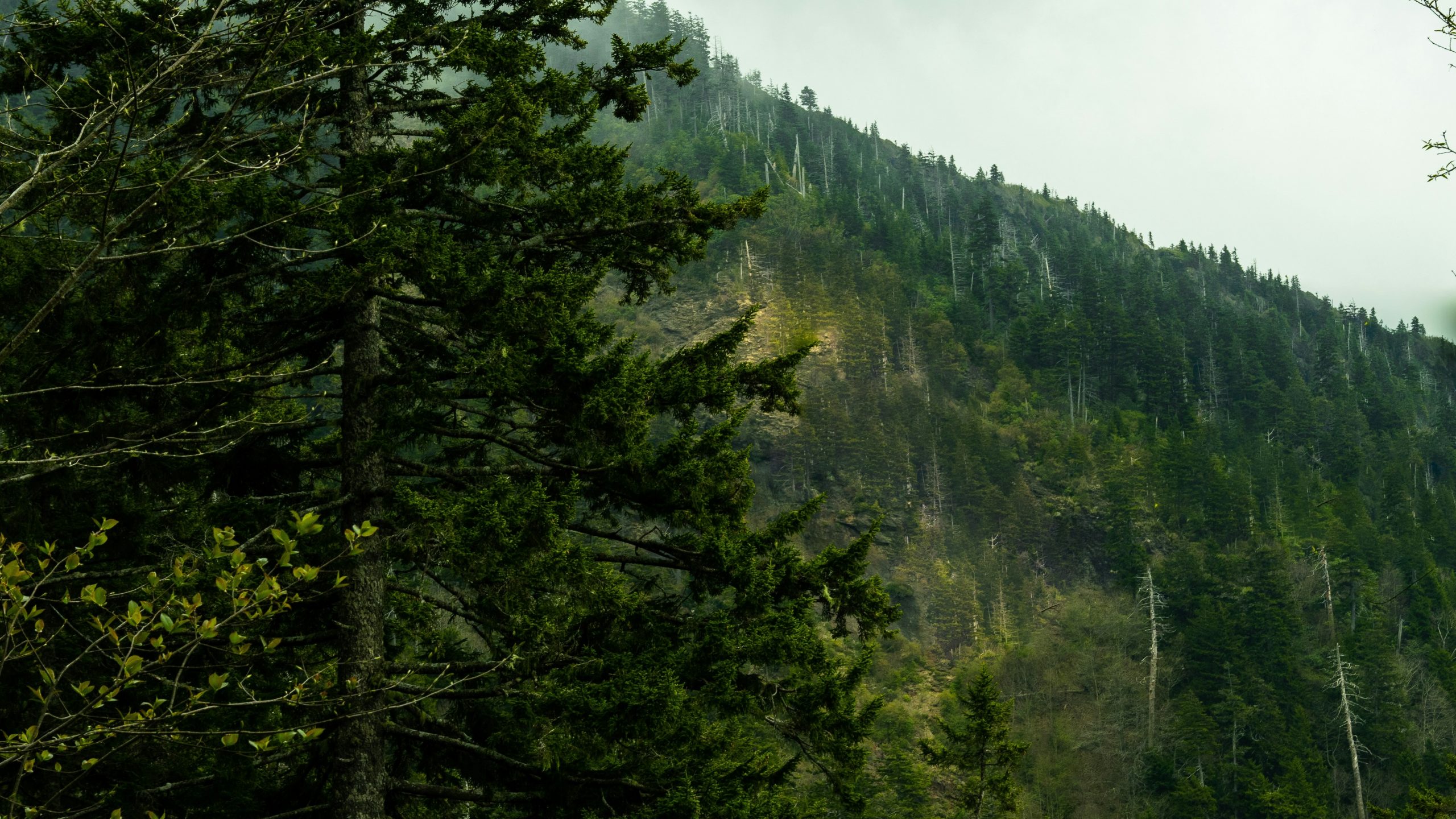 Imagen destacada de Hello World