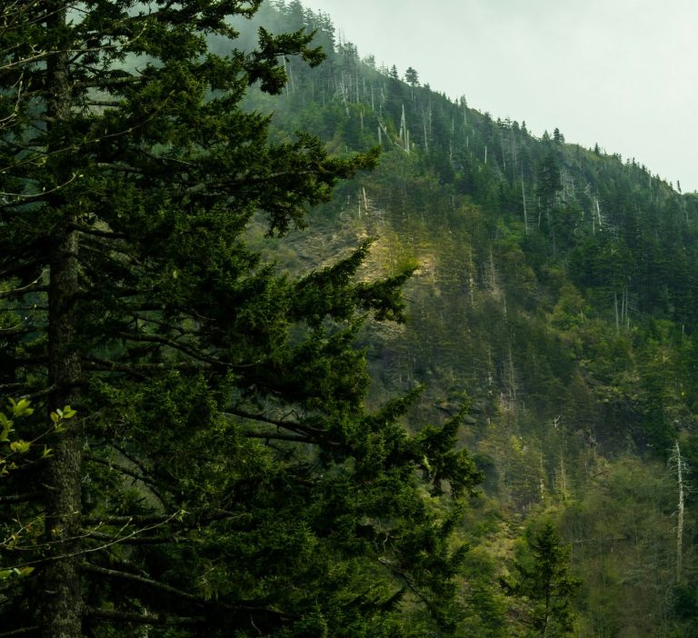 Imagen destacada de Hello World